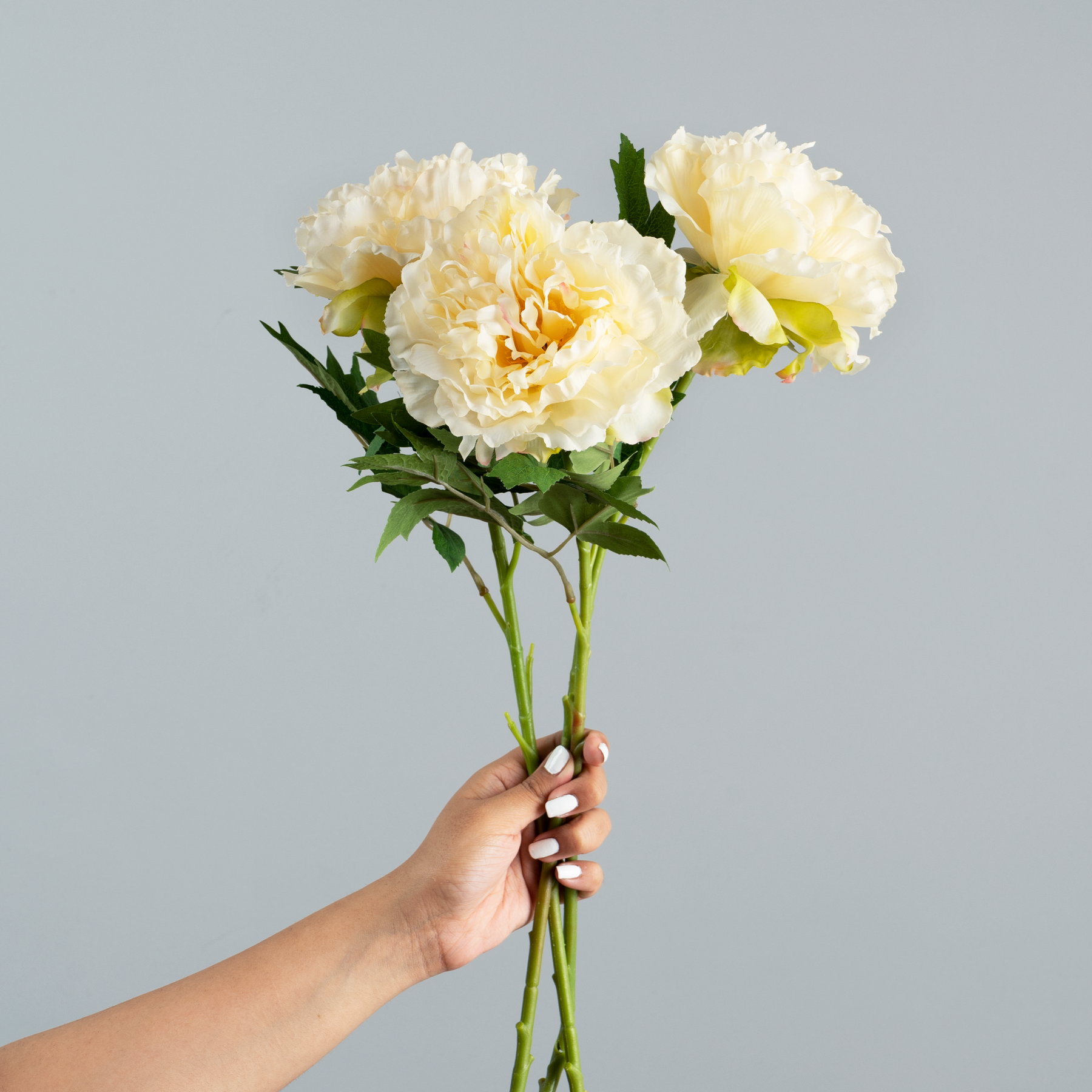 Artificial Flower Peony - Cream Bunch