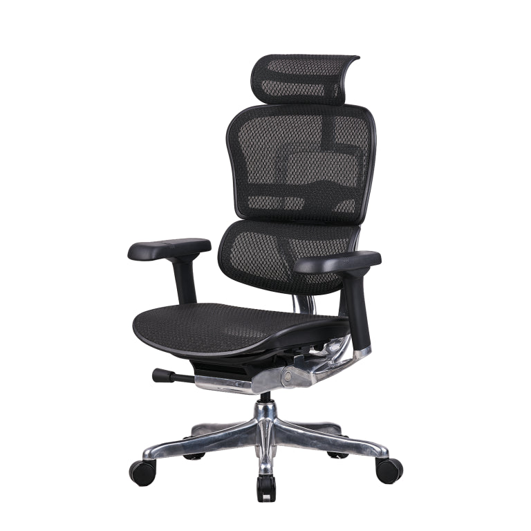 Pinnacle High Back Mesh Chair With Multilock Seat Sliding Mechanism & Three Way Adjustable Arms