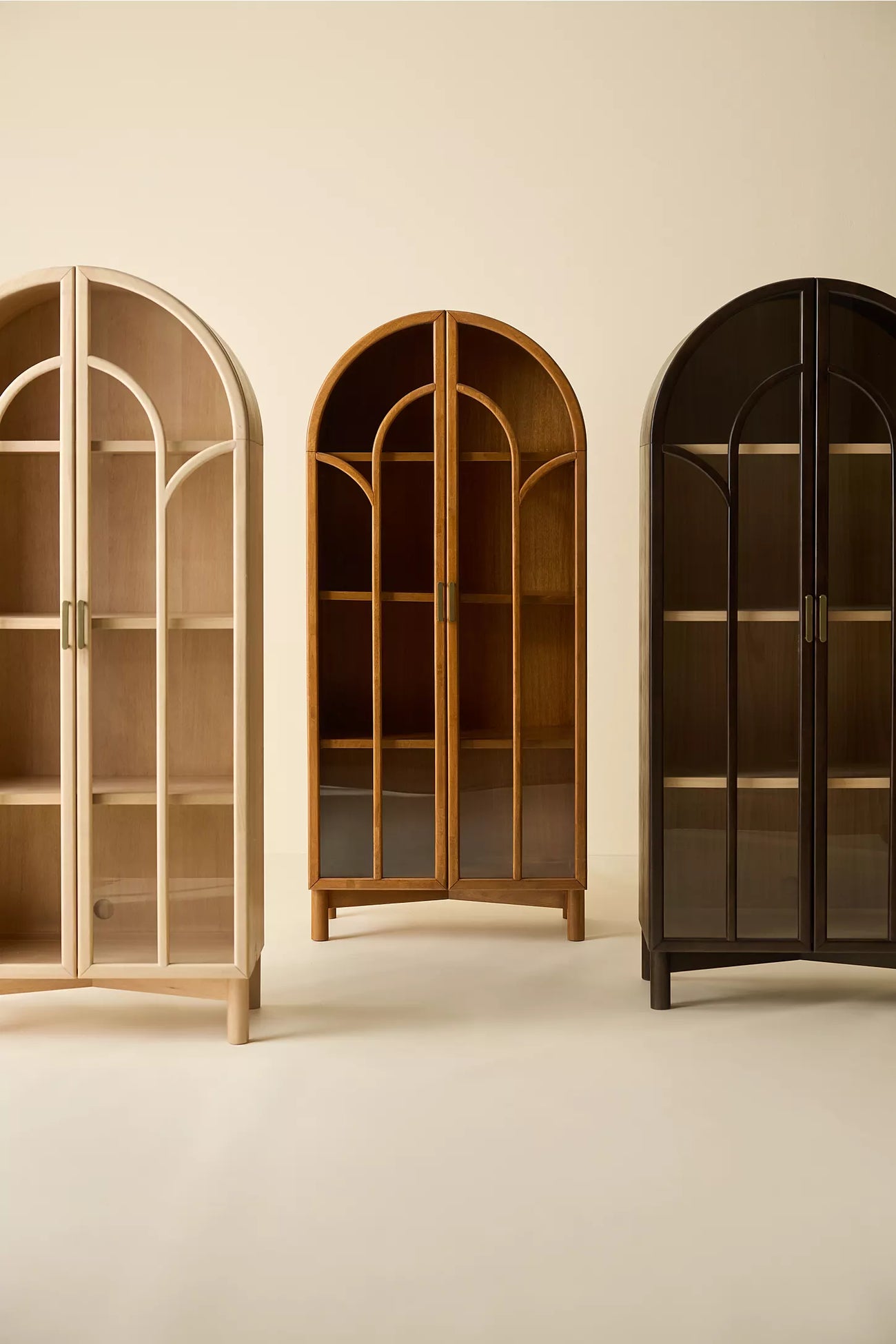 Camille Arched Glass Paned Storage Cabinet -Black Stain with Wood Interior