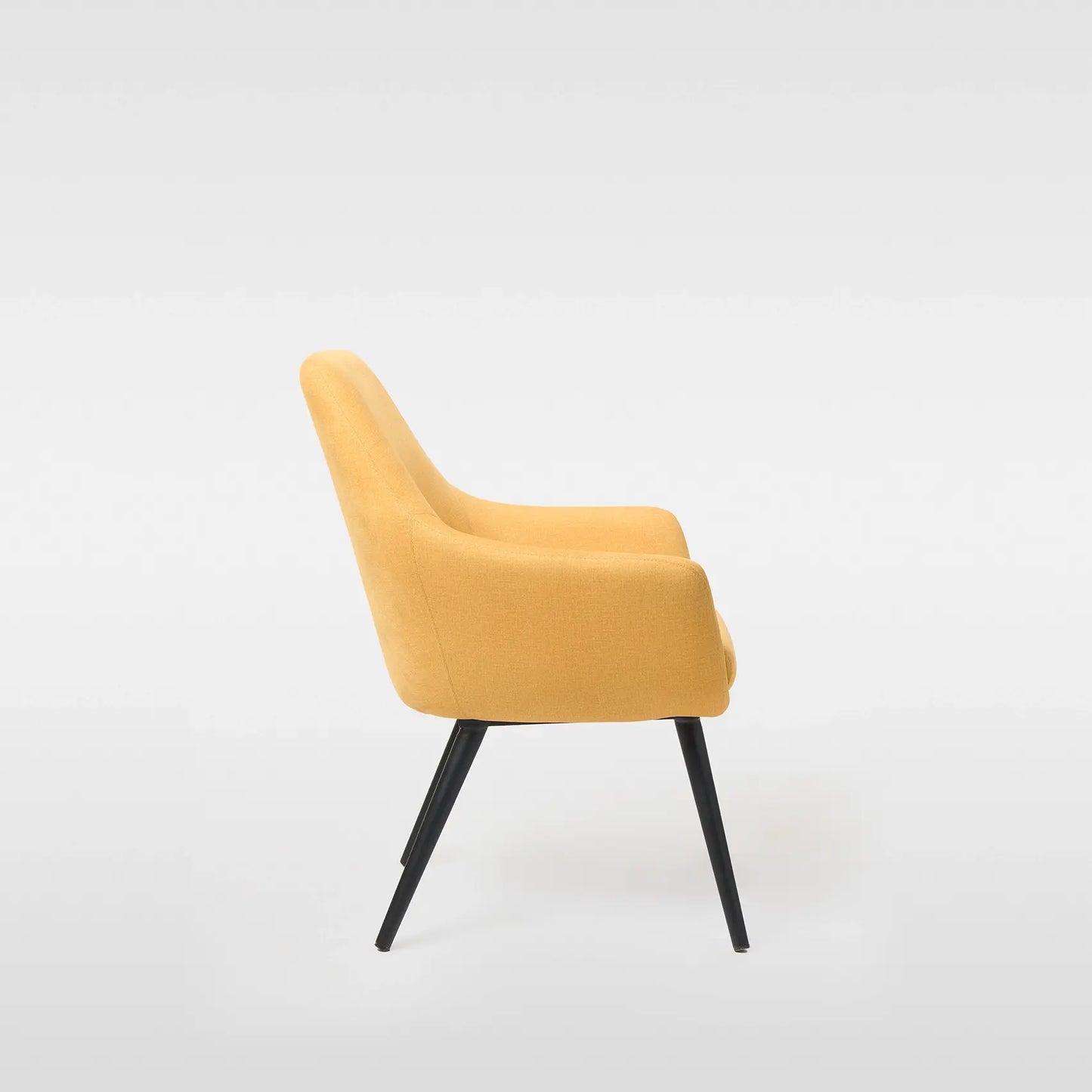 Bay Lounge Chair
