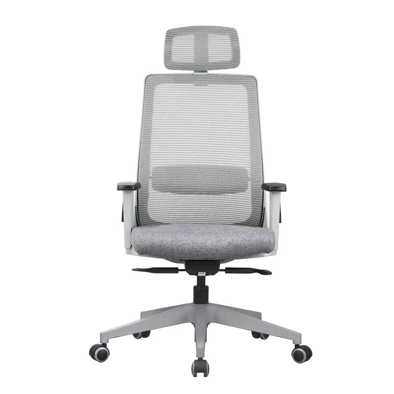Amaze High Back Mesh Chair with Self Calibrating Multilock Mechanism & Fabric Upholstered Cushion Seat(Grey) Nylon Base