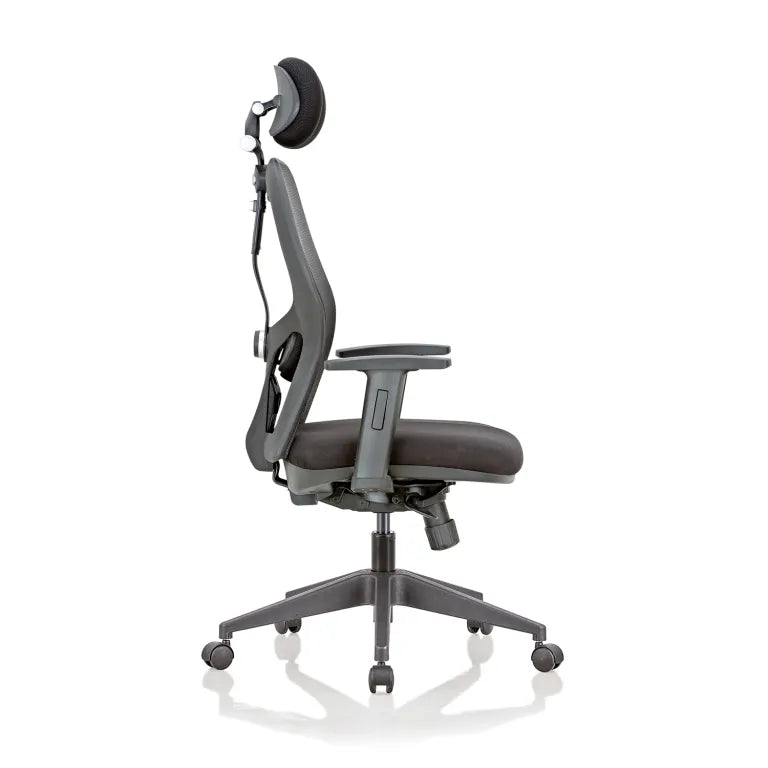 Anatom High Back Mesh Chair with Multilock Mechanism & Fabric Upholstered Cushion Seat(Black)