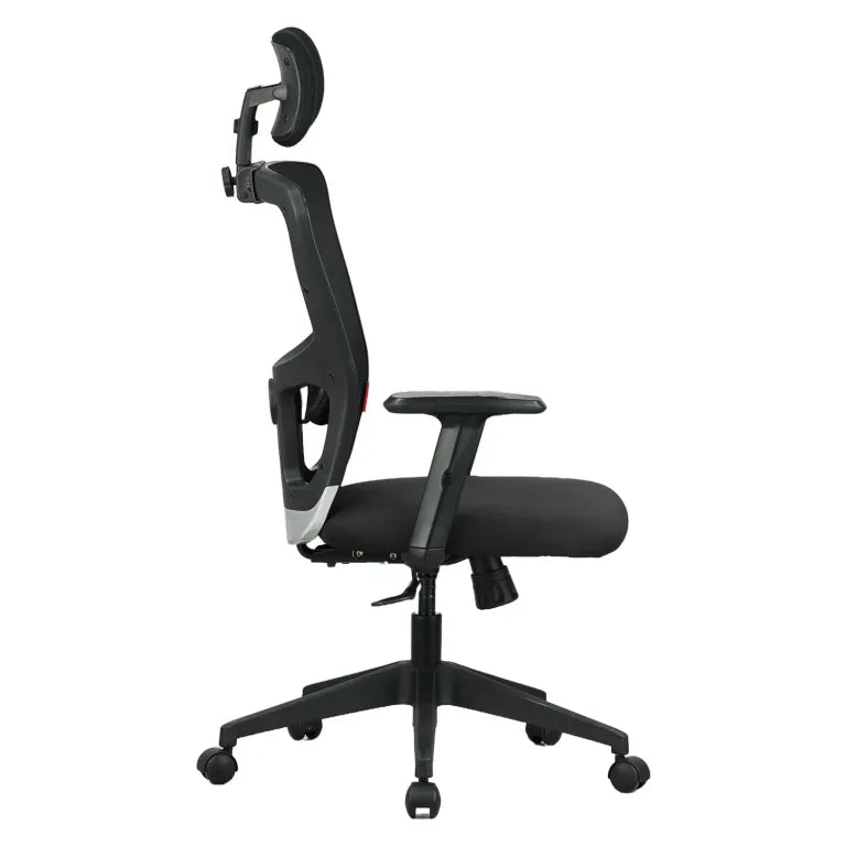 Astro High Back Mesh Chair with Padded Lumbar Support & Cushion Seat(Black)