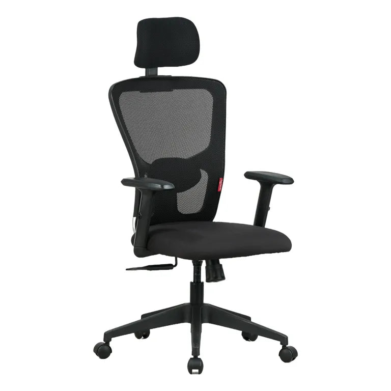 Astro High Back Mesh Chair with Padded Lumbar Support & Cushion Seat(Black)