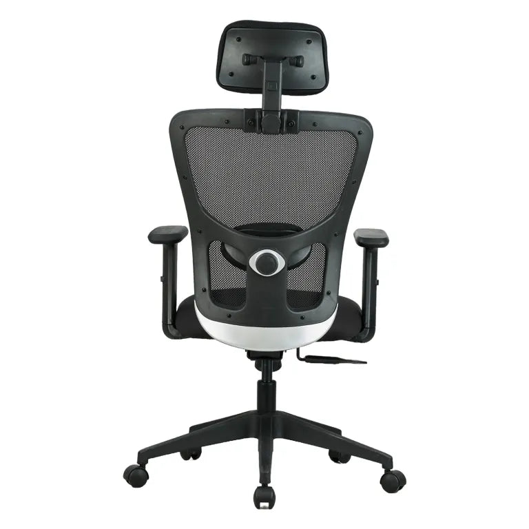 Astro High Back Mesh Chair with Padded Lumbar Support & Cushion Seat(Black)