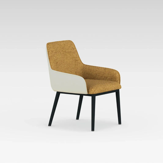 Nero Lounge Chair