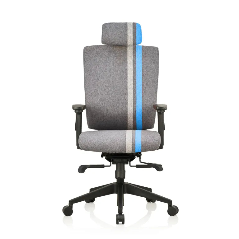 Liberate Game High Back Fabric Chair with Dynaflex Back Support to Provide Dual Frame Flexibility & Seat Depth Adjustment(Blue)