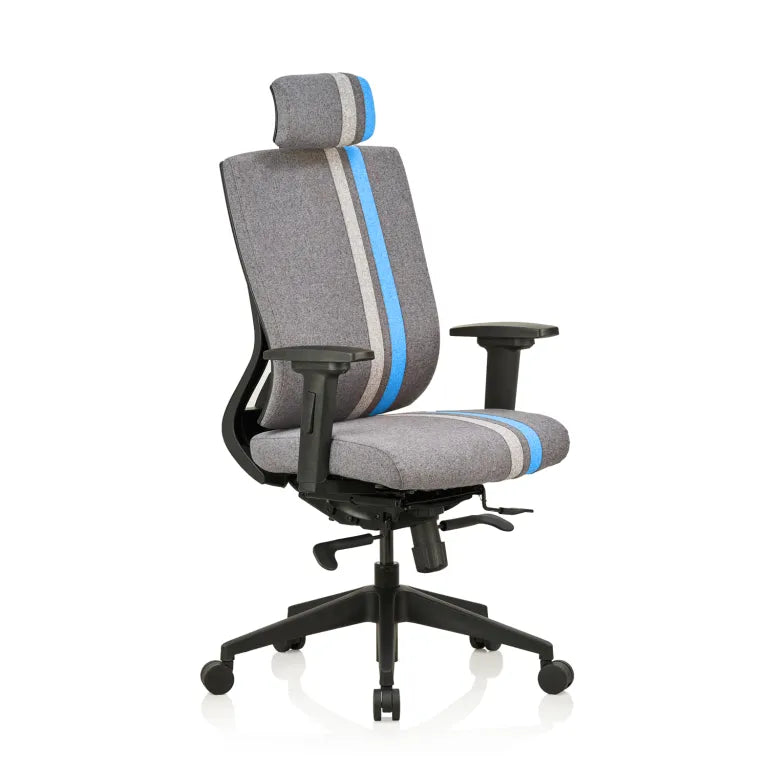 Liberate Game High Back Fabric Chair with Dynaflex Back Support to Provide Dual Frame Flexibility & Seat Depth Adjustment(Blue)