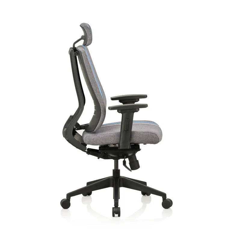 Liberate Game High Back Fabric Chair with Dynaflex Back Support to Provide Dual Frame Flexibility & Seat Depth Adjustment(Blue)