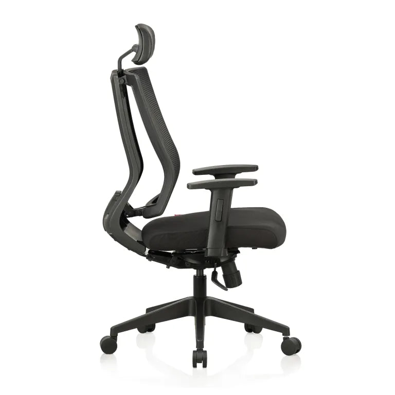 Liberate High Back Mesh Chair with Dynaflex Back Support to Provide Dual Frame Flexibility & Multilock Mechanism